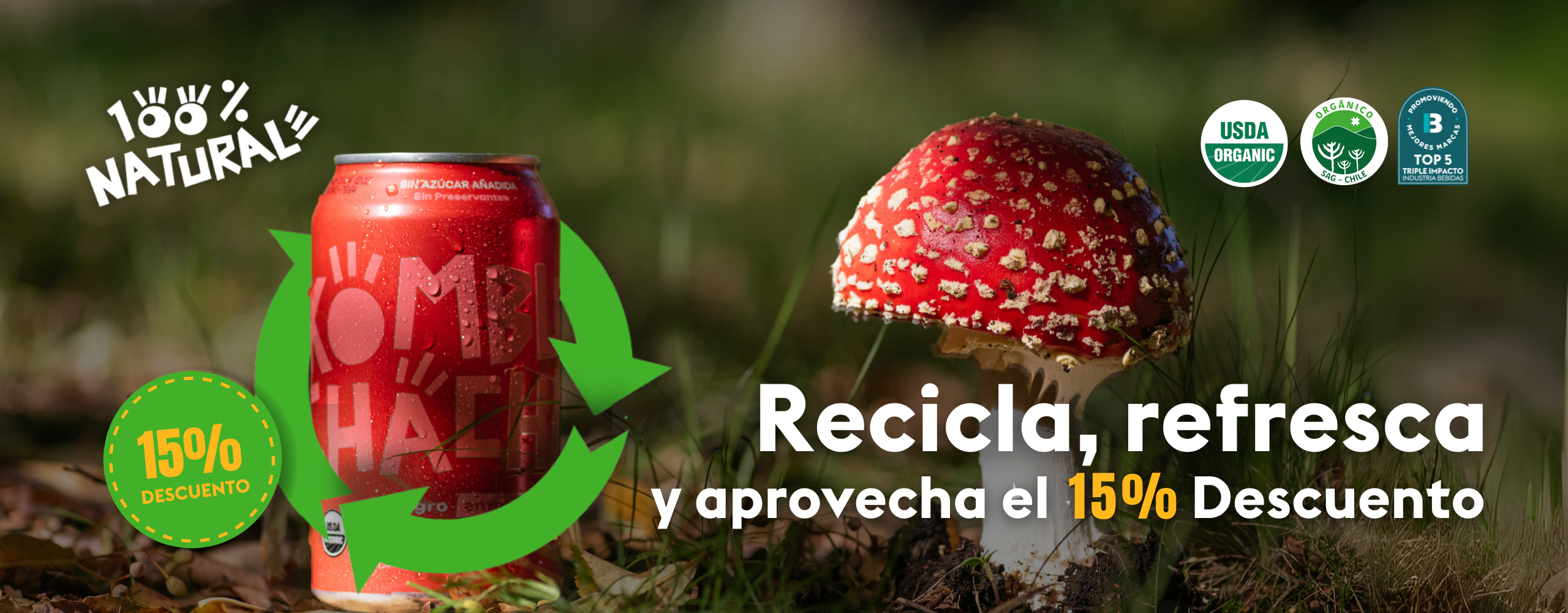 Dia del Reciclaje