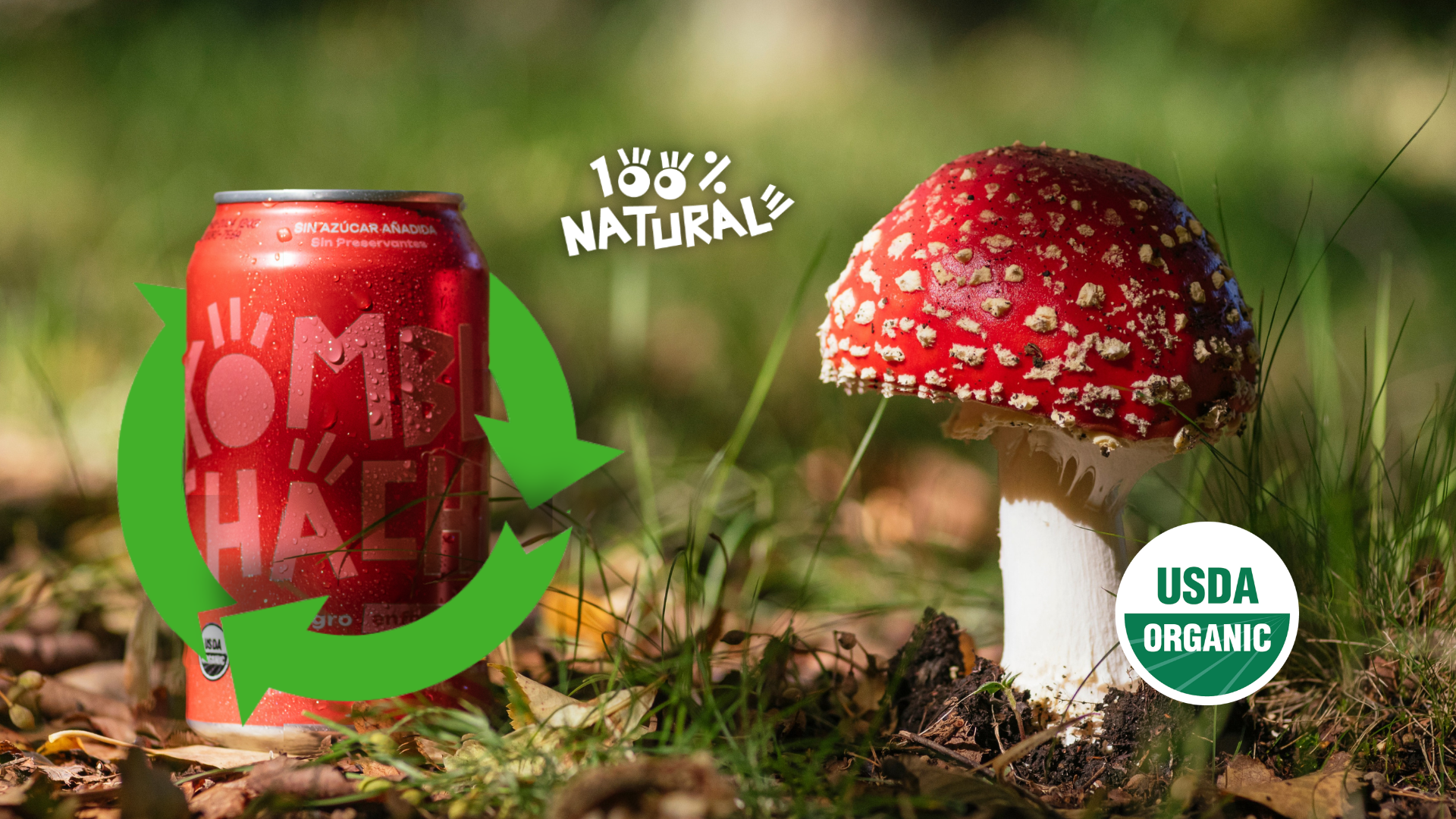 Guía fácil para separar y reciclar tus latas de Kombuchacha